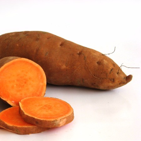 Conventional Sweet Potato 