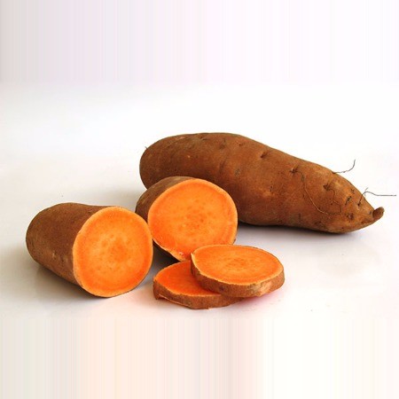  Organic Sweet Potato